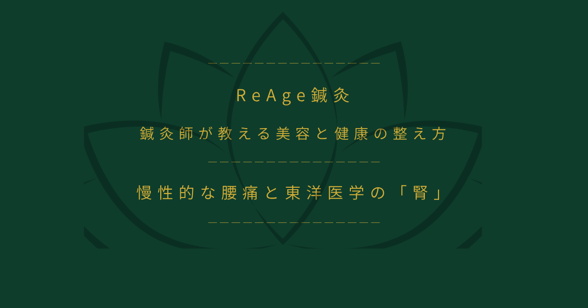 慢性的な腰痛と東洋医学の「腎」